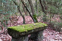 Ławeczka przy leśnym sanktuarium