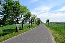 Doga za Kubeczkami. Trochę wiało.