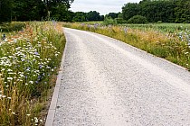 Wały nad Odrą / fot. Krzysztof Ziółkowski