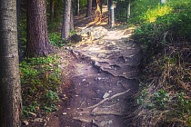 Fot: Piotr Staroń, Sportainment