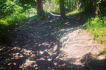 Fot: Piotr Staroń, Sportainment