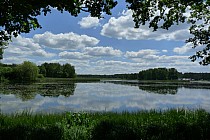 Zalew Zielona w Kaletach