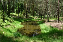 zalane zapadliska po kopalni