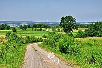 Green Velo na Pogórzu Dynowskim