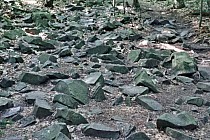 Kawałek drogi na szczyt