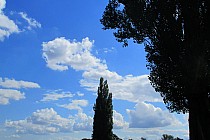 Z Zakrzewa do Miejskiej Górki