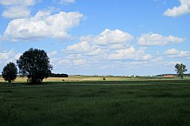 Za pagórkiem - Żytowiecko