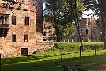 Tworków-ruiny pałacu