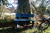 ławeczka -  nieistniejąca już osada Krywałd