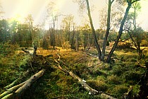 Krywałd - nad Małą Panwią