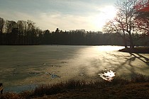 Świerklaniec,w parku