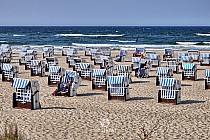 Wiklinowe kosze na bałtyckiej plaży