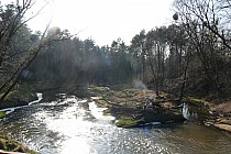 Mała Panew w Krupskim Młynie