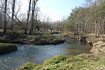 Rzeka Stoła w Potępie