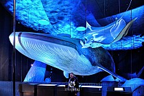 W Muzeum Morskim w Stralsundzie