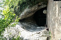 Jaskinia nietoperzowa