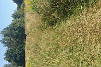 To fragment szlaku:)