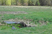 Wola Żarczycka - źródło