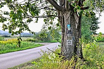 Szlaki rowerowe koło Przemyśla