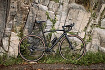 Rower szosowy BMC Roadmachine X 02 (fot. BMC Switzerland)