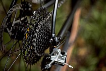 Rower szosowy BMC Roadmachine X 04 (fot. BMC Switzerland)