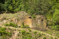 Rezerwat Kamienne Kręgi