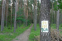 trasa rowerowa Leśna Rajza