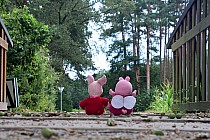 Daleka droga jeszcze przed Nami...