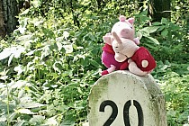 To już koniec..., ale to dopiero połowa trasy, kto za Nas wróci?