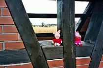 Ucieczka przed żarem.