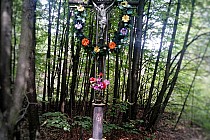 krzyż w nieistniejącej już dzisiaj osadzie Ujków Stary