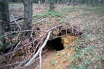 Sztolnia Krupniczka I - dawna kopalnia galmanu i limonitu.