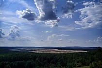 Pustynia Błędowska - widok ze wzgórza Czubatka