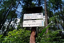 Szlak Kordonów Granicznych - Kordon Ćwięk