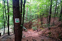 Zielony szlak rowerowy do źródeł Sztoły