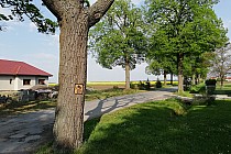 Oznaczenie szlaku rowerowego EuroVelo 9