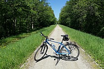 Grobla Pilczycko-Pracka we Wrocławiu