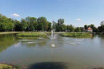 Park pałacowy w Brzegu Dolnym