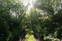 Jeden z gorszych odcinków trasy na północnym brzegu Odry