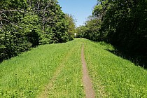 Wał po południowej stronie rzeki