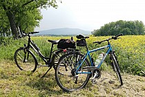 Widok na Ślężę z okolic drogi krajowej 35