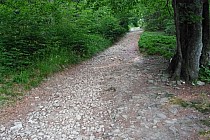 Ścieżka na Równicę