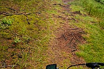 Koło wieży zaczyna się wąski singiel.