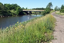 Rzeka Brynica k.Wojkowic