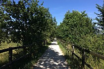 Trasa śladem dawnej kolei wąskotorowej.