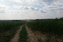 Droga w stronę Machnic.