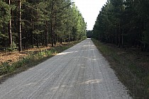 Droga w Parku Krajobrazowym