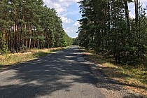 Odcinek trasy między Ujeźdźcem Małym a Gruszeczkę