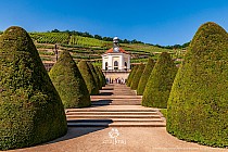 Winnica Wackerbarth w Radebeul