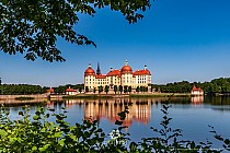 Pałac Moritzburg